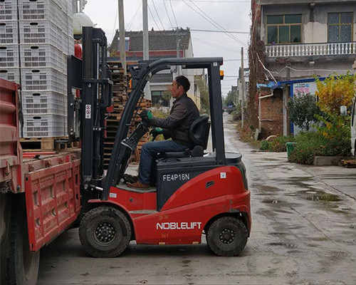 某水果冷庫(kù)，諾力電動(dòng)叉車FE系列